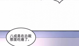 飞蛾扑火的猫漫画,一场扑火与守护的温馨对决