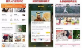 淘宝 短视频 案例,短视频助力电商新趋势解析