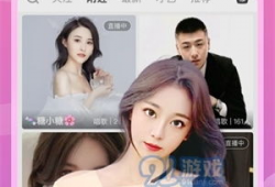 直播 91,揭秘热门直播平台的魅力与挑战